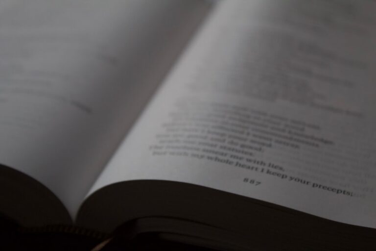 Recenzja a opinia czytelnika – czym się różnią?